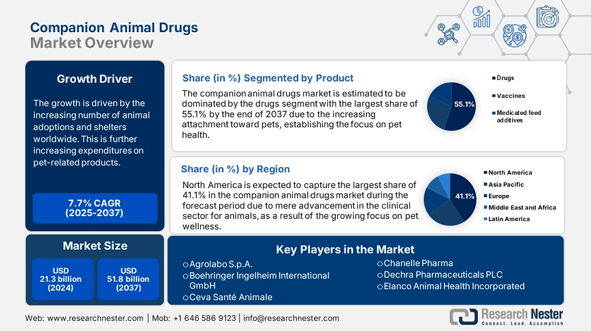 Companion Animal Drugs Market Overview